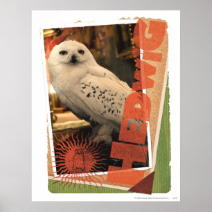 Hedwig I Poster