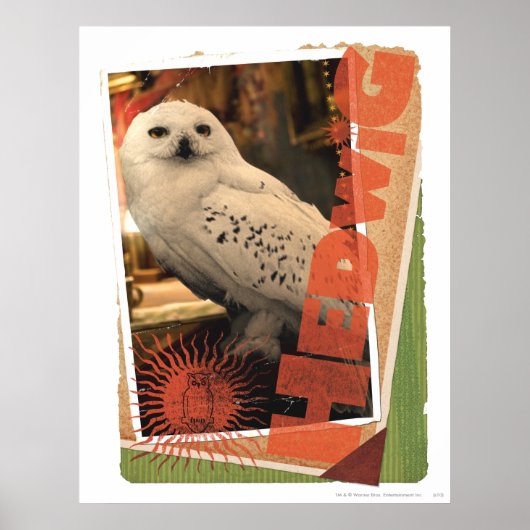 Hedwig I Poster (Voorkant)