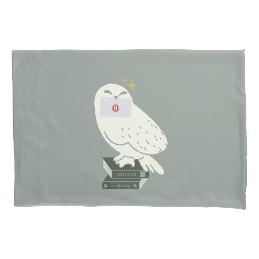 Hedwig met brief Fantasierijke tekening Kussensloop (Voorkant)