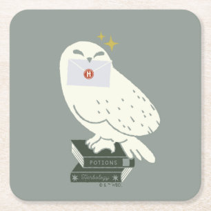 Hedwig Met Brief Fantasievolle Tekening Kartonnen Onderzetters