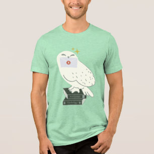 Hedwig Met Brief Fantasievolle Tekening Tri-Blend Shirt
