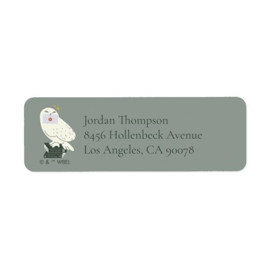 Hedwig Met Brief Whimsical Tekening Etiket (Voorkant)