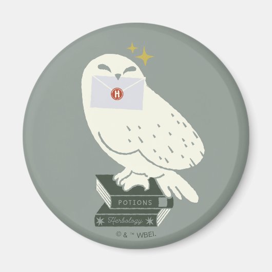 Hedwig Met Brief Whimsical Tekening Magneet (Voorkant)