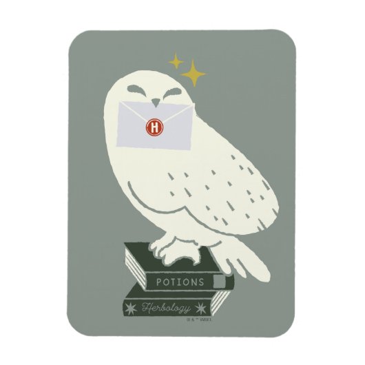 Hedwig Met Brief Whimsical Tekening Magneet (Verticaal)