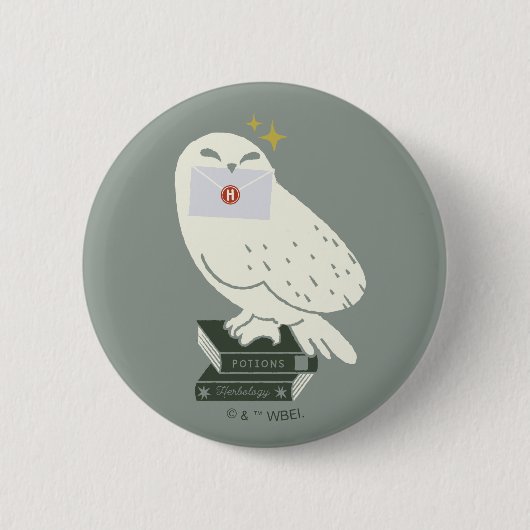 Hedwig Met Brief Whimsical Tekening Ronde Button 5,7 Cm (Voorkant)