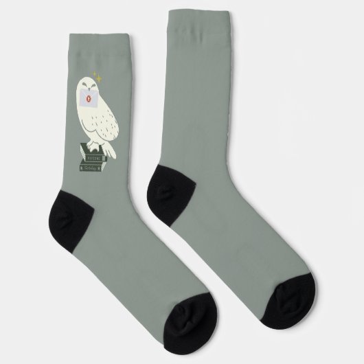 Hedwig Met Brief Whimsical Tekening Sokken (Rechts)