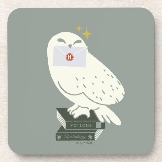 Hedwig Met Brief Whimsicale Tekening Bier Onderzetter (Voorkant)