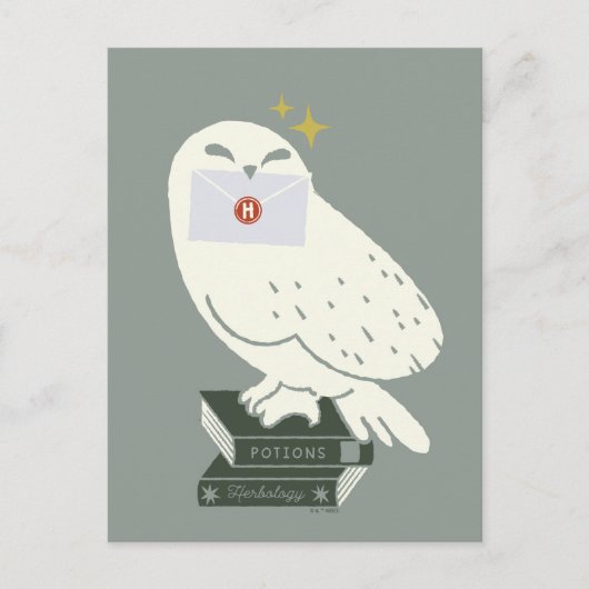 Hedwig Met Brief Whimsicale Tekening Briefkaart (Voorkant)