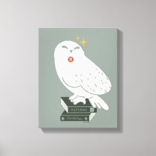Hedwig Met Brief Whimsicale Tekening Canvas Afdruk