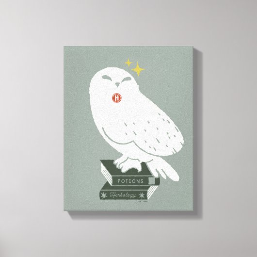 Hedwig Met Brief Whimsicale Tekening Canvas Afdruk (Voorkant)