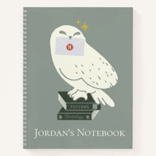 Hedwig Met Brief Whimsicale Tekening Notitieboek