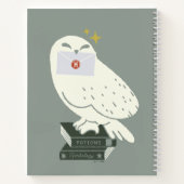 Hedwig Met Brief Whimsicale Tekening Notitieboek (Achterkant)