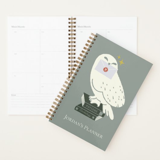 Hedwig Met Brief Whimsicale Tekening Planner (Display)