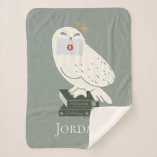 Hedwig Met Brief Whimsicale Tekening Sherpa Deken