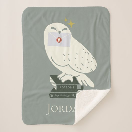 Hedwig Met Brief Whimsicale Tekening Sherpa Deken (Voorkant)