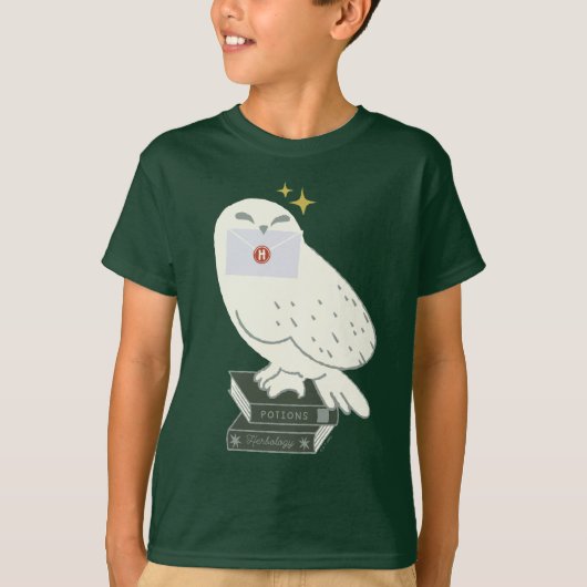 Hedwig Met Brief Whimsicale Tekening T-shirt (Voorkant)