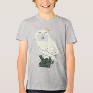 Hedwig Met Brief Whimsicale Tekening Tri-Blend Shirt