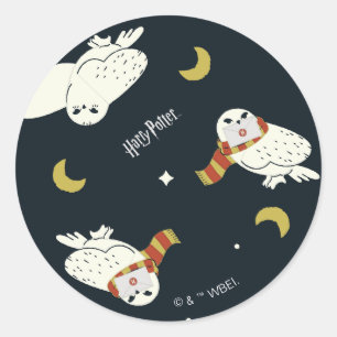 Hedwig Nachtelijk Maanlicht Patroon Ronde Sticker