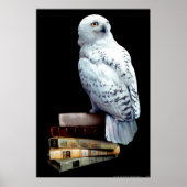 Hedwig op boeken poster (Voorkant)
