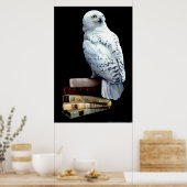 Hedwig op boeken poster (Keuken)