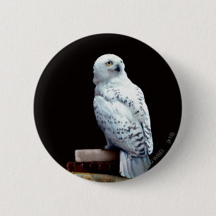 Hedwig op boeken ronde button 5,7 cm