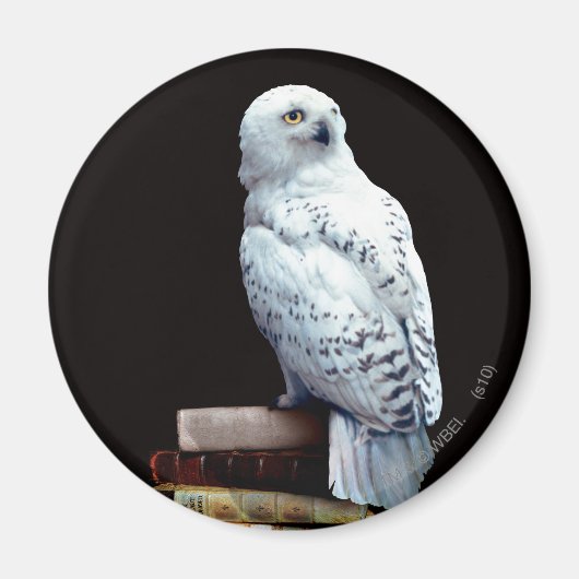 Hedwig over boeken magneet (Voorkant)
