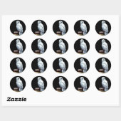 Hedwig over boeken ronde sticker (Vel)