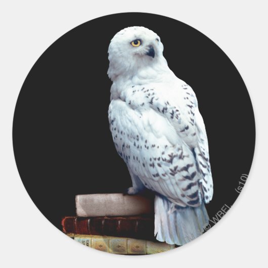 Hedwig over boeken ronde sticker (Voorkant)