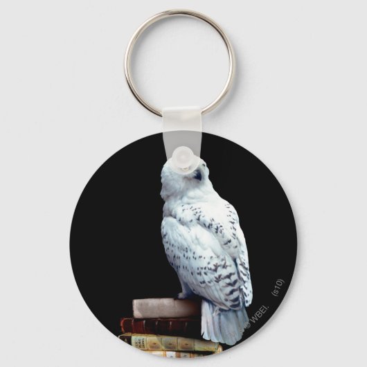 Hedwig over boeken sleutelhanger (Voorkant)