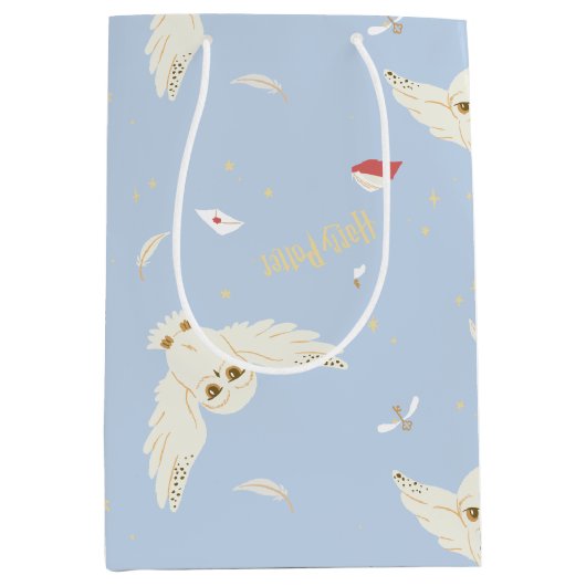Hedwig Owl Post Letters and Books Pattern Medium Cadeauzakje (Voorkant)