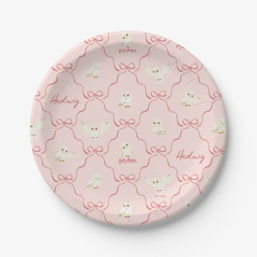 Hedwig Roze Lint Patroon Papieren Bordje (Voorkant)