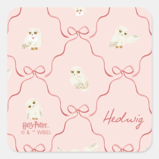 Hedwig Roze Lint Patroon Vierkante Sticker (Voorkant)