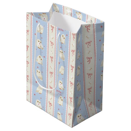 Hedwig Uil Post Streeppatroon Medium Cadeauzakje (Voorkant Gekanteld)
