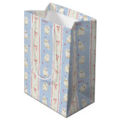 Hedwig Uil Post Streeppatroon Medium Cadeauzakje (Achterkant Gekanteld)