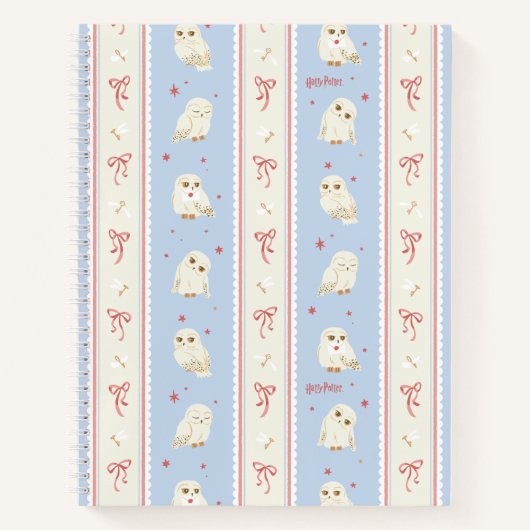 Hedwig Uil Post Streeppatroon Notitieboek (Voorkant)