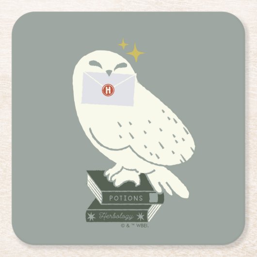 Hedwig With Letter Whimsical Drawing Kartonnen Onderzetters (Voorkant)