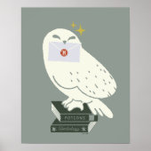 Hedwig With Letter Whimsical Drawing Poster (Voorkant)