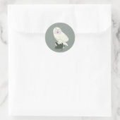Hedwig With Letter Whimsical Drawing Ronde Sticker (Tas)