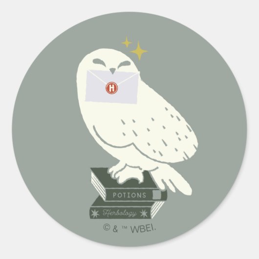 Hedwig With Letter Whimsical Drawing Ronde Sticker (Voorkant)