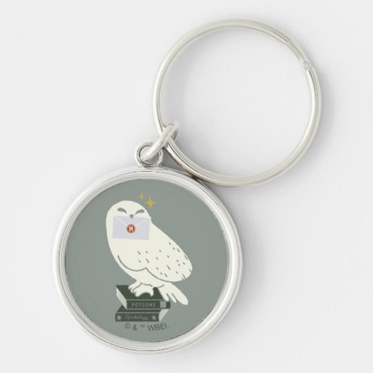 Hedwig With Letter Whimsical Drawing Sleutelhanger (Voorkant)