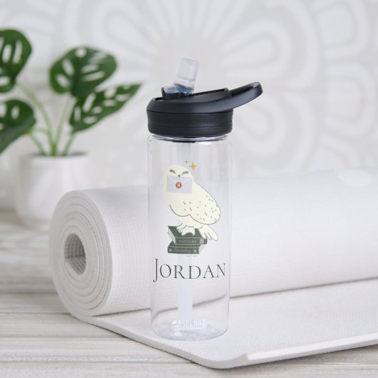 Hedwig With Letter Whimsical Drawing Waterfles (Links)
