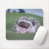 hedzaam muismat (Met muis)