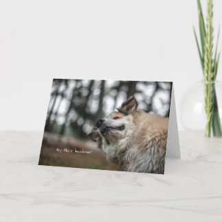 Hee, handsome. kaart