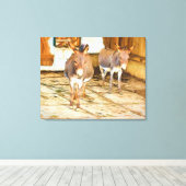 Hee Haw Donkeys Canvas Afdruk (Insitu (Houten vloer))