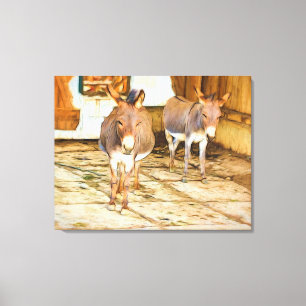 Hee Haw Donkeys Canvas Afdruk