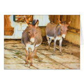 Hee Haw Ezels Blank Kaart (Voorkant Horizontaal)