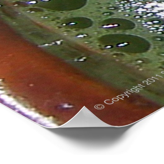 Heeft een Guinomi een Chawan-Natuur? Poster (Hoek)