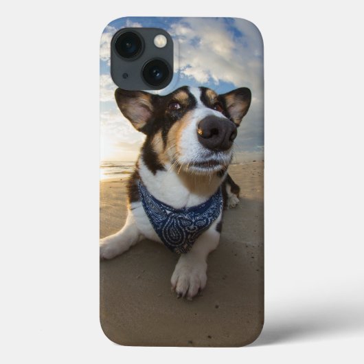Heeft iemand Cookie gezegd? Case-Mate iPhone Case (Achterkant)