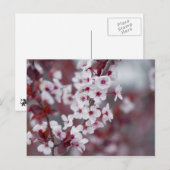 Heeft iemand een bokeh besteld? briefkaart (Voorkant / Achterkant)