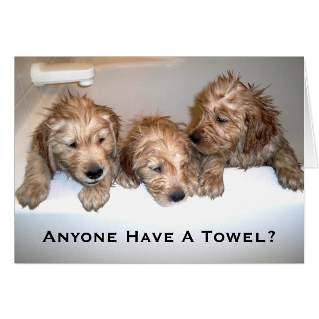 Heeft iemand een handdoek? (Voorkant Horizontaal)